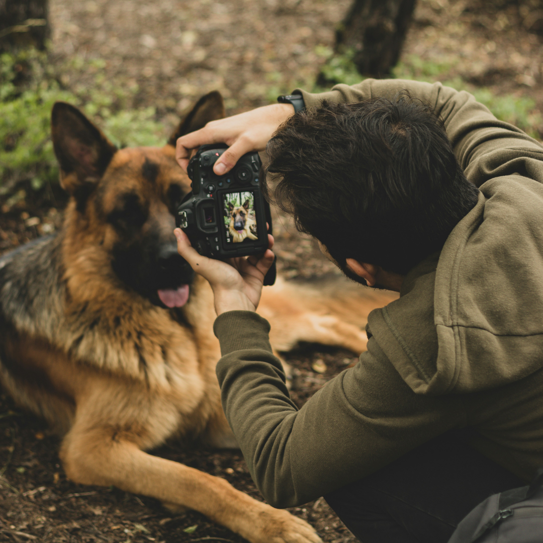 Voor Dogfluence LLC Leveren wij topkwaliteit programmeurs voor support en ondersteuning van het platform